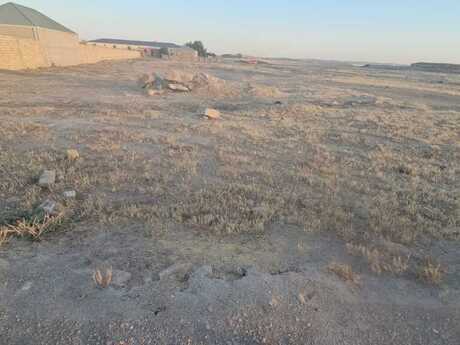 Torpaq - Masazır q. - 105 sot