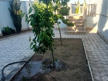 5 otaqlı həyət evi/bağ evi - Nardaran q. - 170 m²