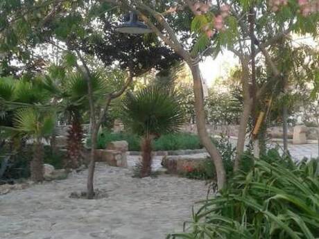 5 otaqlı həyət evi/bağ evi - Zuğulba q. - 340 m²