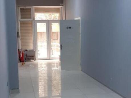 Obyekt - İnşaatçılar m. - 220 m²