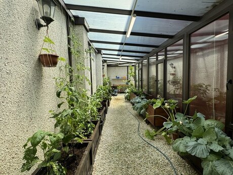 6-комн. дом/дача - пос. Мардакан - 450 м²