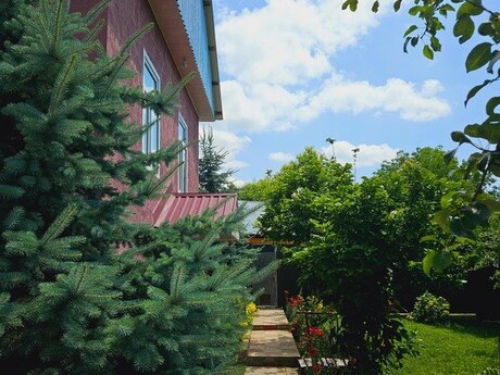 4 otaqlı həyət evi/bağ evi - Qəbələ - 120 m²