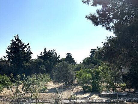 Elan №4444894 - Bakı, Mərdəkan q., 24 sot