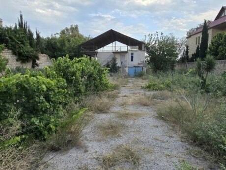 Elan №4449886 - Bakı, Mərdəkan q., 25 sot