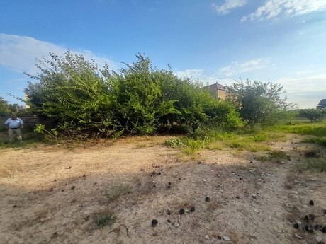 Объявление №4477409 - Баку, пос. Бильгях, 25 сот