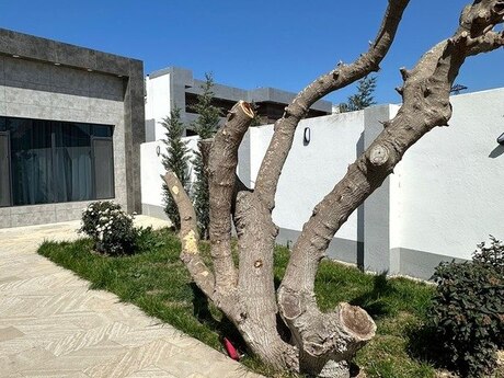 4 otaqlı həyət evi/bağ evi - Mərdəkan q. - 190 m²