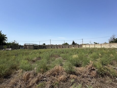 Torpaq - Qala q. - 16 sot