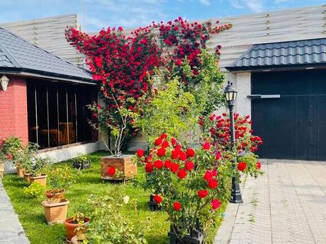 7 otaqlı həyət evi, 500 m², Mərdəkan: 890 000 ₼ 4
