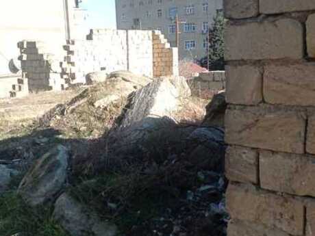 Torpaq - Zığ q. - 24 sot