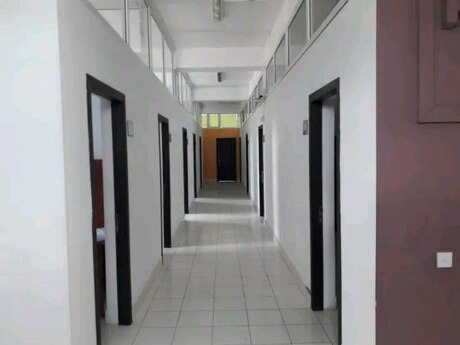 Obyekt - Binəqədi q. - 1000 m²