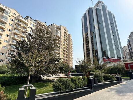 Elmlər Akademiyası m.