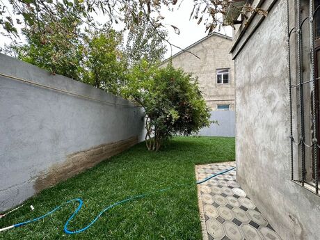 6 otaqlı həyət evi/bağ evi - Binə q. - 735 m²