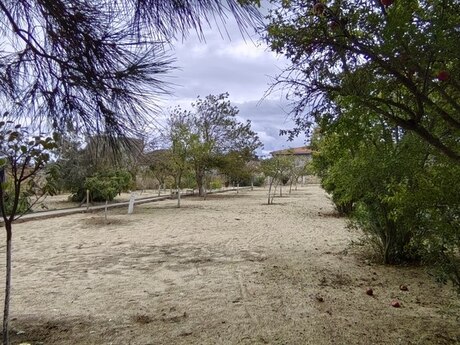 Объявление №4787987 - Баку, пос. Бильгях, 24 сот