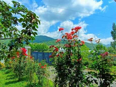 4 otaqlı həyət evi/bağ evi - İsmayıllı - 100 m²