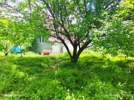 3 otaqlı həyət evi/bağ evi - İsmayıllı - 80 m²