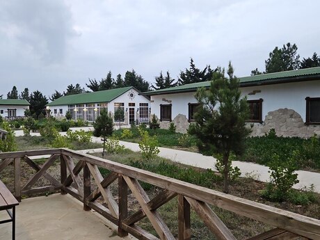 Elan №4803687 - Bakı, Şüvəlan q., 3300 m²