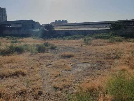 Объявление №4815359 - Баку, пос. Ени Гюнешли, 25 сот