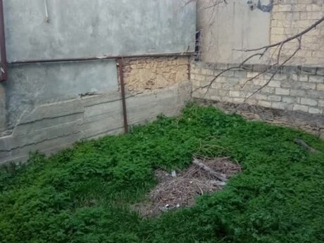 Объявление №4817837 - Баку, м. Азадлыг проспекти, 1.9 сот