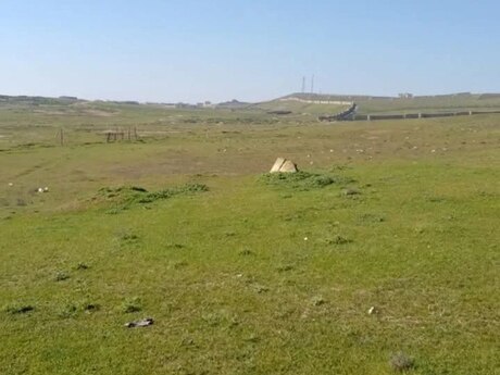 Torpaq - Mehdiabad q. - 54 sot