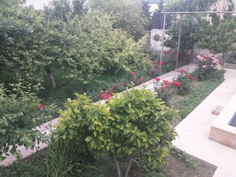 6 otaqlı həyət evi/bağ evi - Badamdar q. - 450 m²