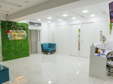 Obyekt - Nizami m. - 1200 m²