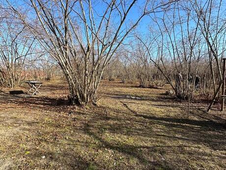 Участок - Габала - 155 сот