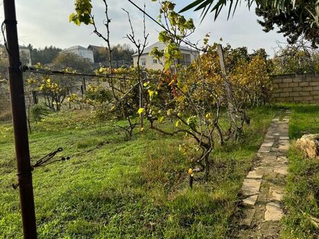 5 otaqlı həyət evi/bağ evi - Görədil q. - 150 m²