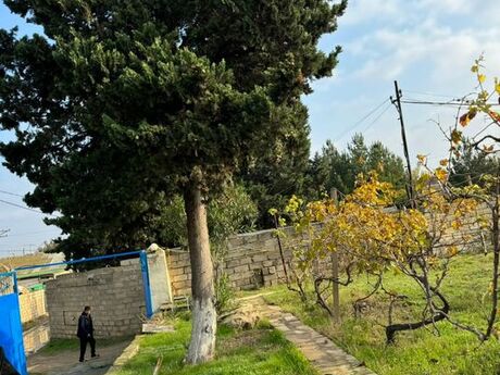 5 otaqlı həyət evi/bağ evi - Görədil q. - 150 m²