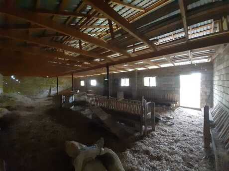 6 otaqlı həyət evi, 550 m², Novxanı: 165 000 ₼ 5