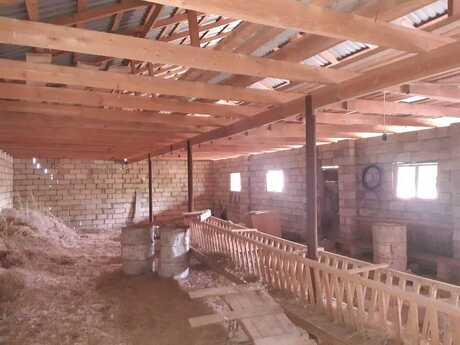 6 otaqlı həyət evi/bağ evi - Novxanı q. - 550 m²