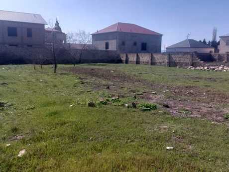 Elan №4891313 - Bakı, Saray q., 10 sot