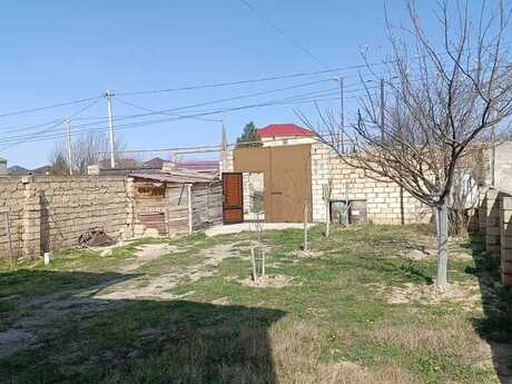 6 otaqlı həyət evi/bağ evi - Saray q. - 240 m²