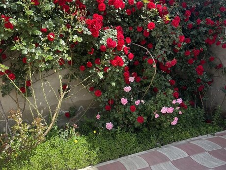 3 otaqlı həyət evi/bağ evi - M.Ə.Rəsulzadə q. - 135 m²