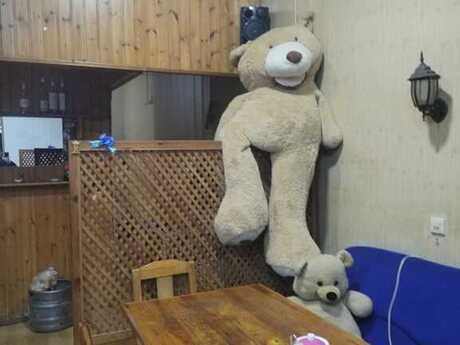 Obyekt - Yeni Yasamal q. - 85 m²