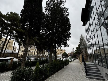 Obyekt - Bakıxanov q. - 530 m²