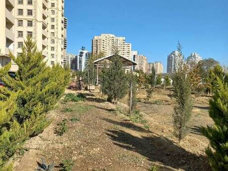 3 otaqlı yeni tikili - Yasamal r. - 125 m²