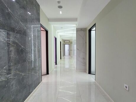 Obyekt - Elmlər Akademiyası m. - 330 m²