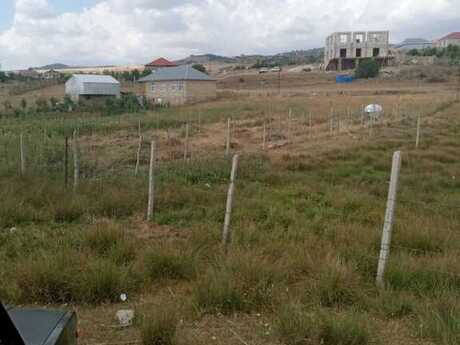 Torpaq - Şamaxı - 12 sot