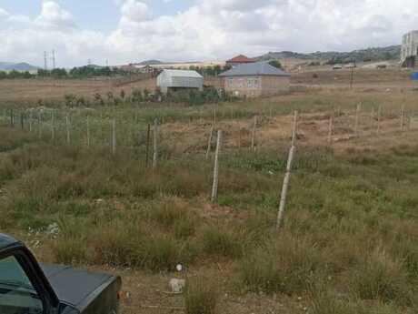 Torpaq - Şamaxı - 12 sot
