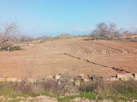 Elan №4957803 - Bakı, Nardaran q., 12 sot