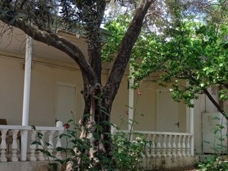 5 otaqlı həyət evi/bağ evi - Sulutəpə q. - 258 m²