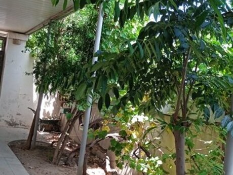 5 otaqlı həyət evi, 258 m², Sulutəpə: 265 000 ₼ 5