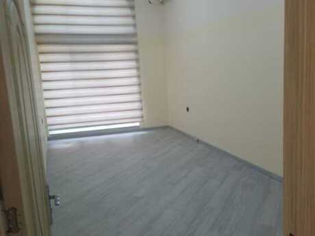 Obyekt - Azadlıq Prospekti m. - 300 m²