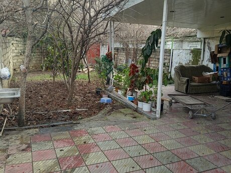 Объявление №4965627 - Баку, м. Гянджлик, 6 сот