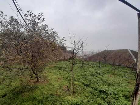 Объявление №4987222 - Баку, Низаминский  р., 5 сот