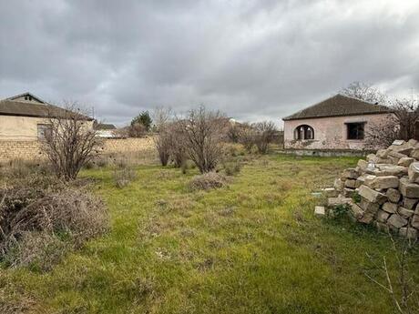 Torpaq - Novxanı q. - 11 sot