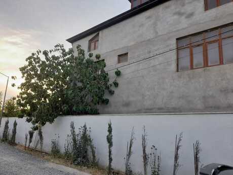 7 otaqlı həyət evi/bağ evi - Buzovna q. - 450 m²