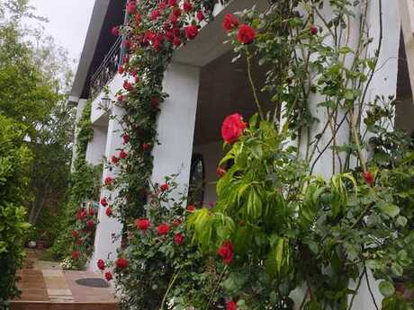 Elan №5025282 - Bakı, Mərdəkan q., 5 otaqlı, 300 m²