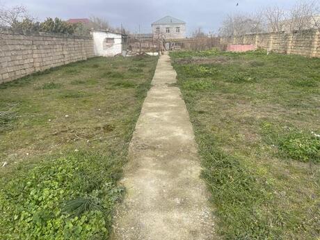 Albalılıq q.