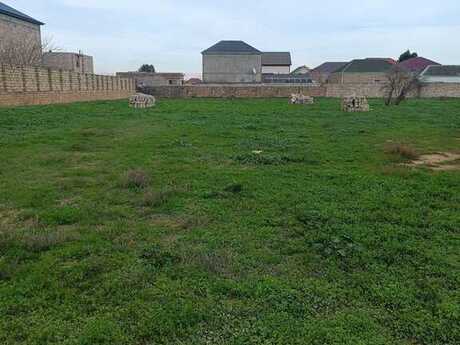 Участок - пос. Бузовна - 46 сот